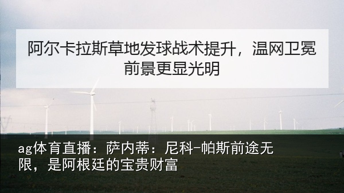 ag体育直播：萨内蒂：尼科相关情况贵财富